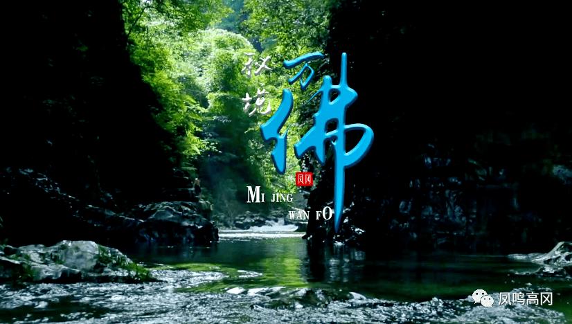竭诚服务践初心