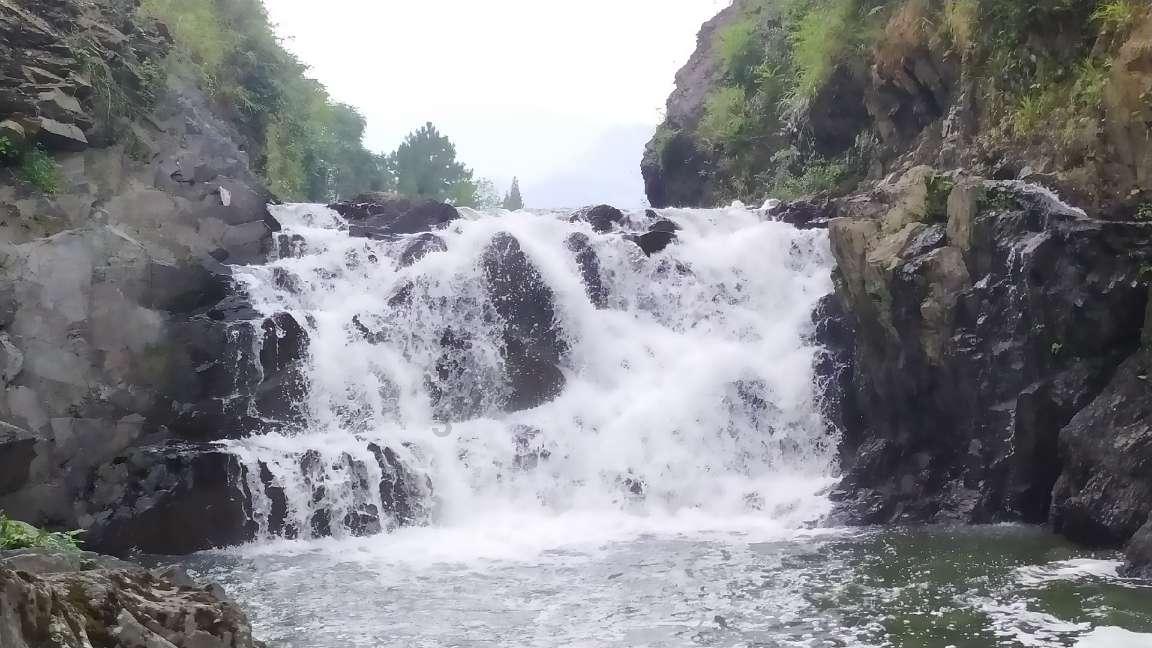 万词王