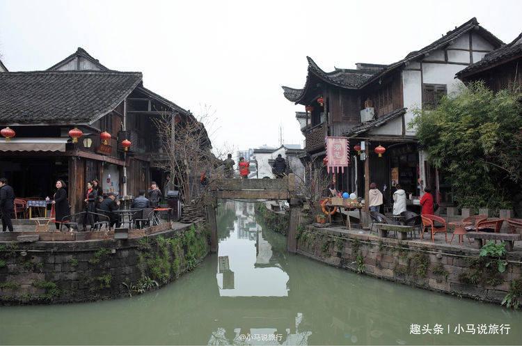 逃离仿真森林